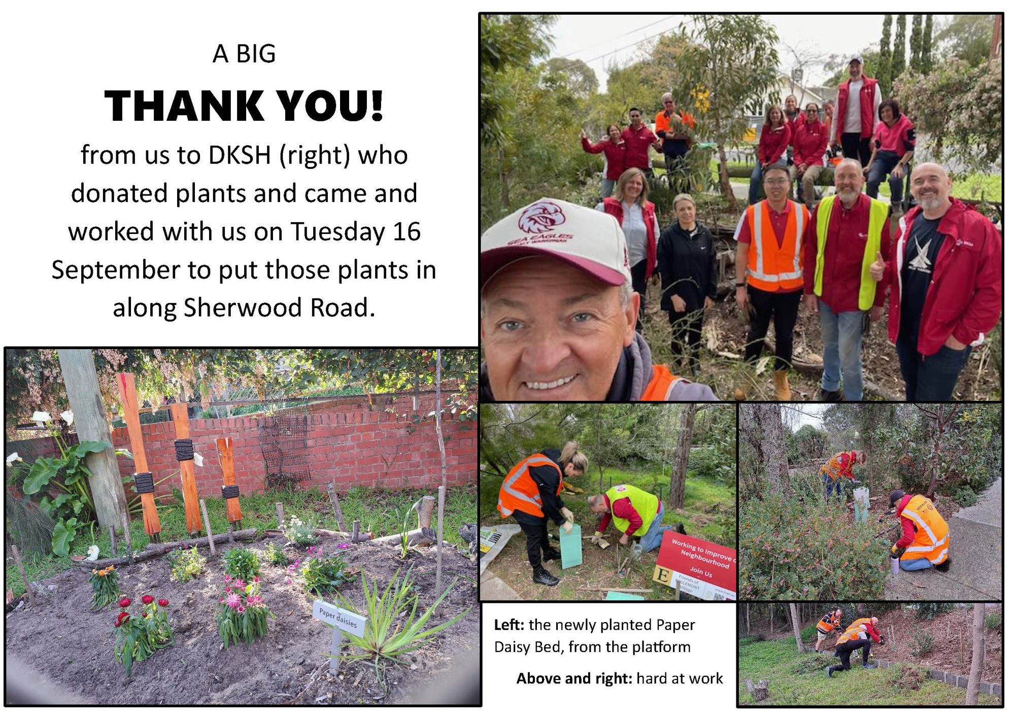 Update, Sunday 21 Sept: working bee cancelled; AGM reminder; and a BIG Thank You!