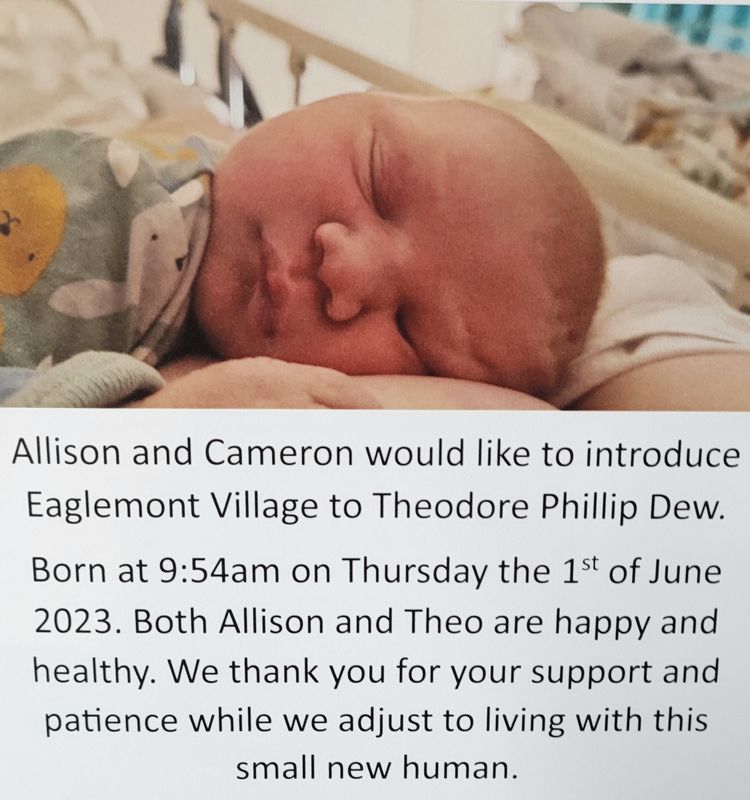 Baby News From The Village