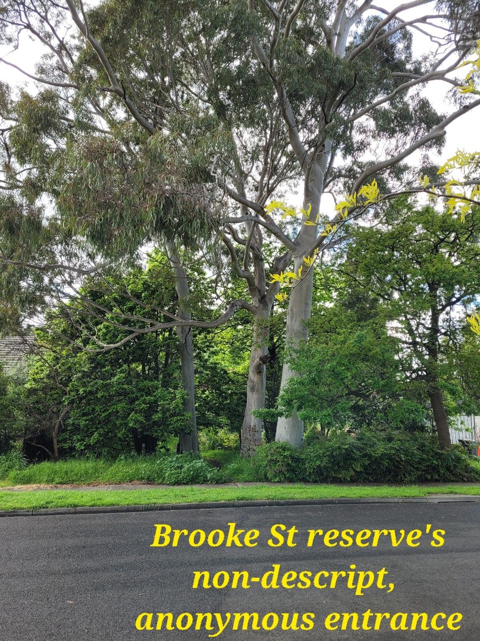 Mr Brooke of Brooke Street